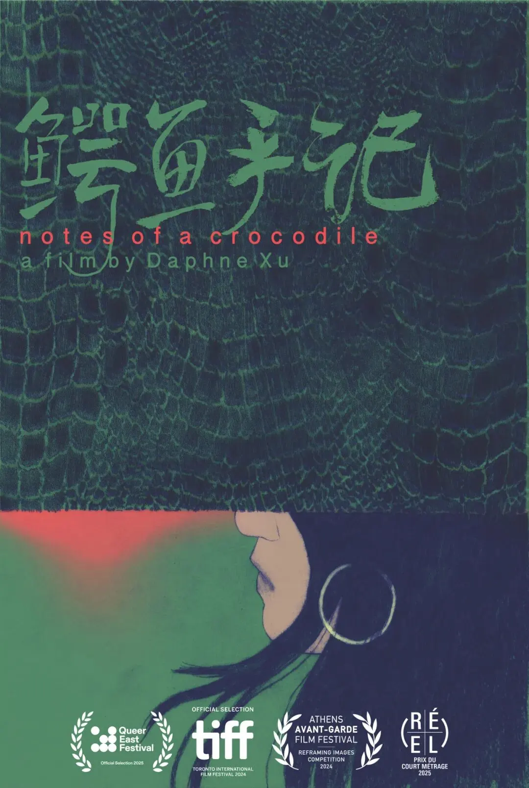 鳄鱼手记